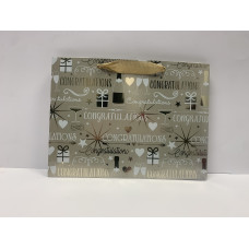 Champagne Colour Congratulations Gift Bag