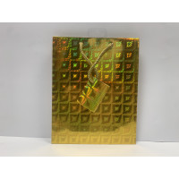 Medium Gold Iridescent Gift Bag