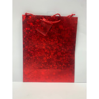 Red Iridescent Gift Bag