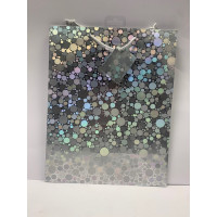 Medium Silver Iridescent Gift Bag
