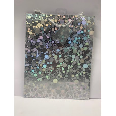Medium Silver Iridescent Gift Bag